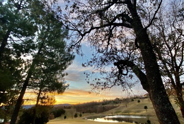 Club de Campo Sojuela