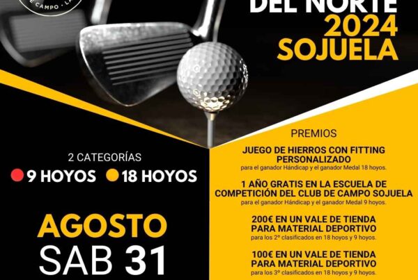 Liga Inafntil del Norte 2024 Sojuela